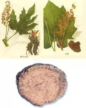 祛痘先排毒，脸部排毒方法你知道吗？